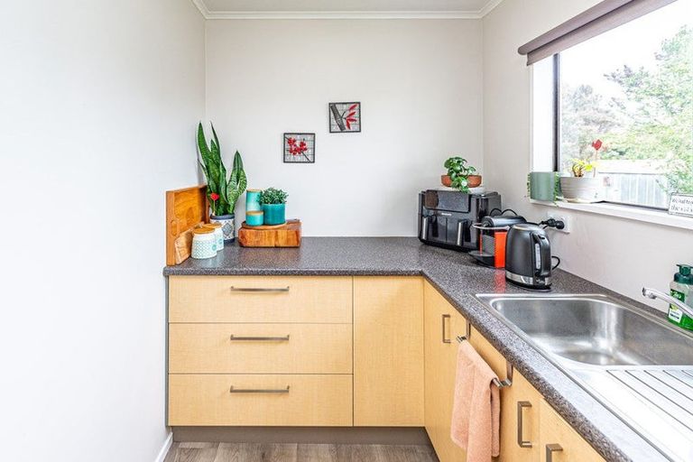 Photo of property in 18 Warwick Place, Springvale, Whanganui, 4501