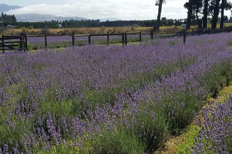 Photo of property in 672 Depot Road, Burnt Hill, Oxford, 7495