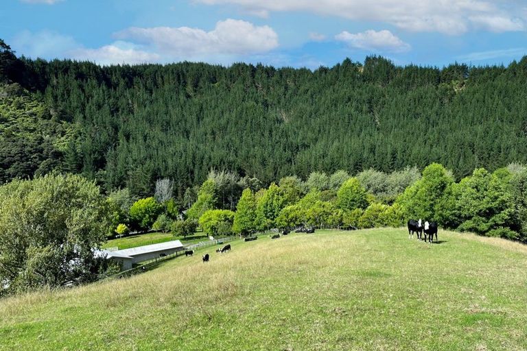 Photo of property in 475 Ahuroa Road, Puhoi, Warkworth, 0994