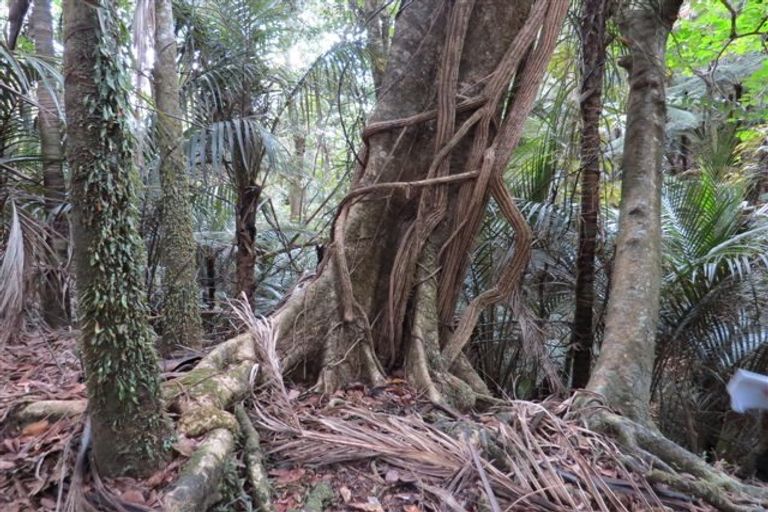 Photo of property in 85b Shakespeare Street, Greymouth, 7805