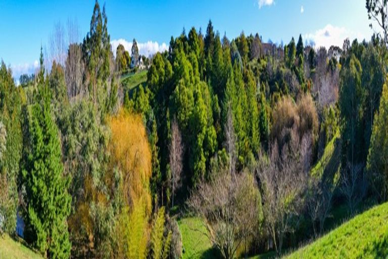 Photo of property in 81 Nilgiri Road, Poraiti, Napier, 4182