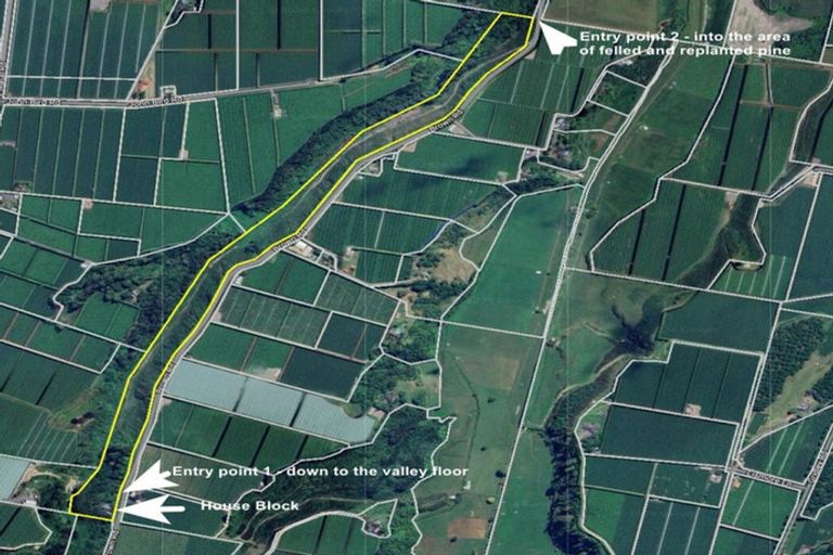 Photo of property in 308 Brown Road, Te Puke, 3188