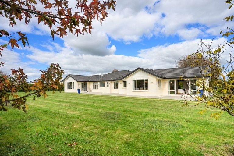 Photo of property in 105 Pharazyn Street, Feilding, 4702