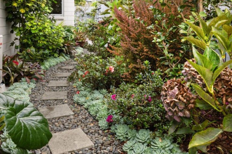 Photo of property in 11 Hass Drive, Ohauiti, Tauranga, 3112