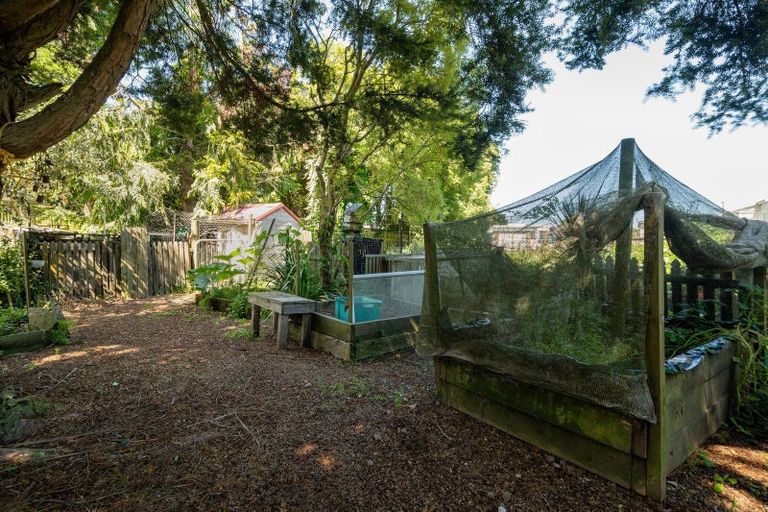 Photo of property in 62 Arapuni Street, Putaruru, 3411