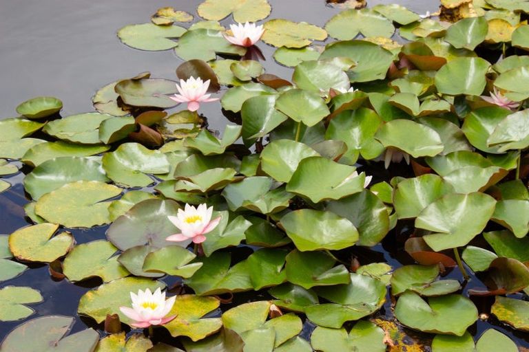 Photo of property in 828 Dover Road, Okato, New Plymouth, 4374