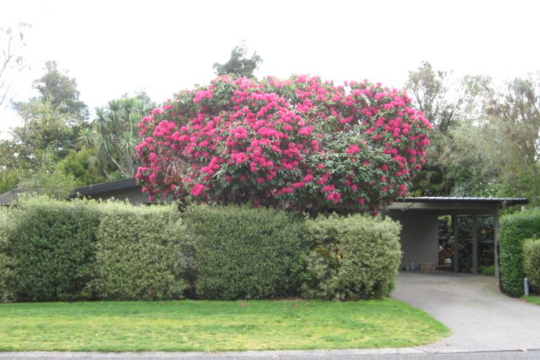 Photo of property in 22 Gillies Avenue, Taupo, 3330