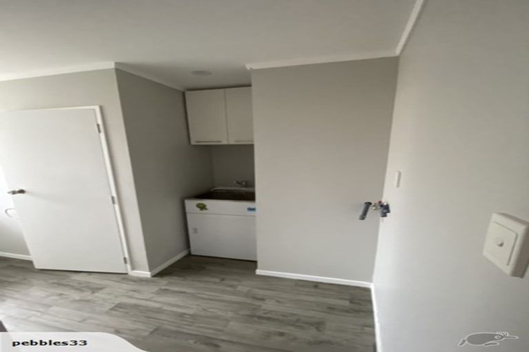 Photo of property in 54b Higgins Road, Frankton, Hamilton, 3204