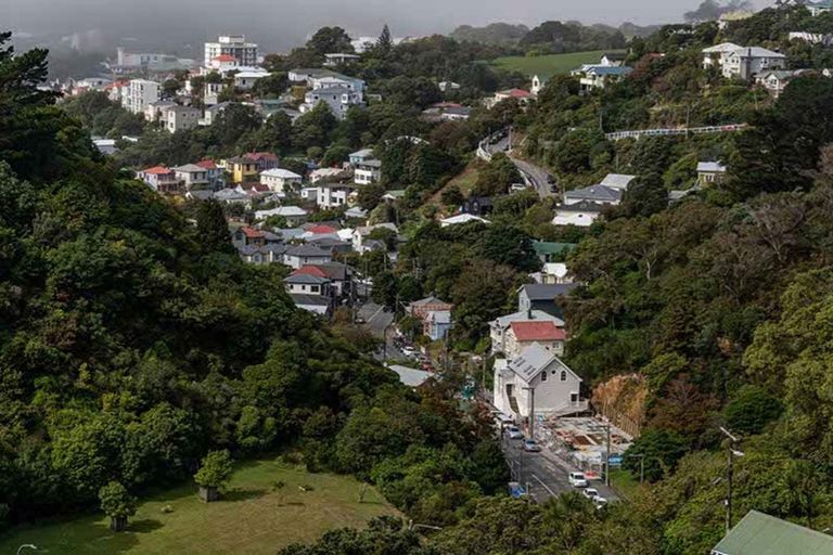 Photo of property in 129 Raroa Road, Aro Valley, Wellington, 6012