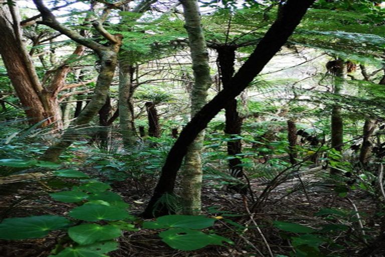 Photo of property in 26 Pacific Bay Road, Tutukaka, Whangarei, 0173