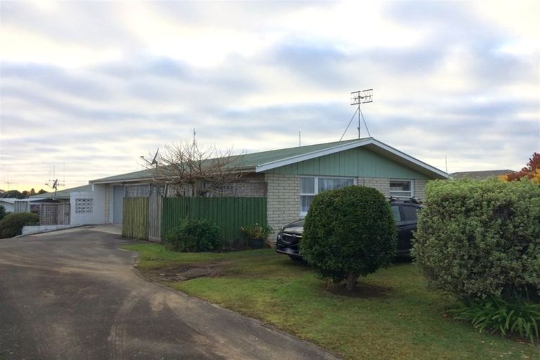 Photo of property in 117 Bellevue Road, Brookfield, Tauranga, 3110