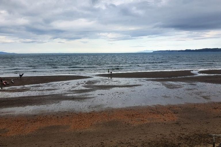 Photo of property in 24 Walton Street, Red Beach, 0932