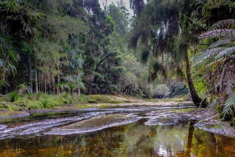 Photo of property in 454 Wainui Road South, Whakamarama, Katikati, 3181