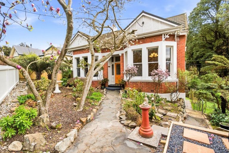 Photo of property in 41 Littlebourne Road, Roslyn, Dunedin, 9010