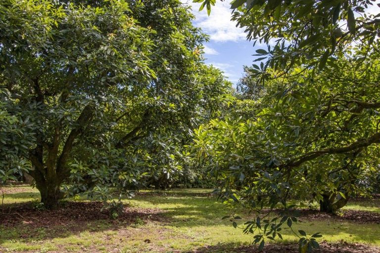 Photo of property in 43 Thompsons Track, Aongatete, Katikati, 3178