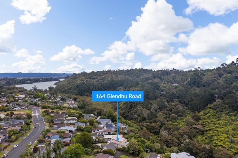 Photo of property in 164 Glendhu Road, Bayview, Auckland, 0629