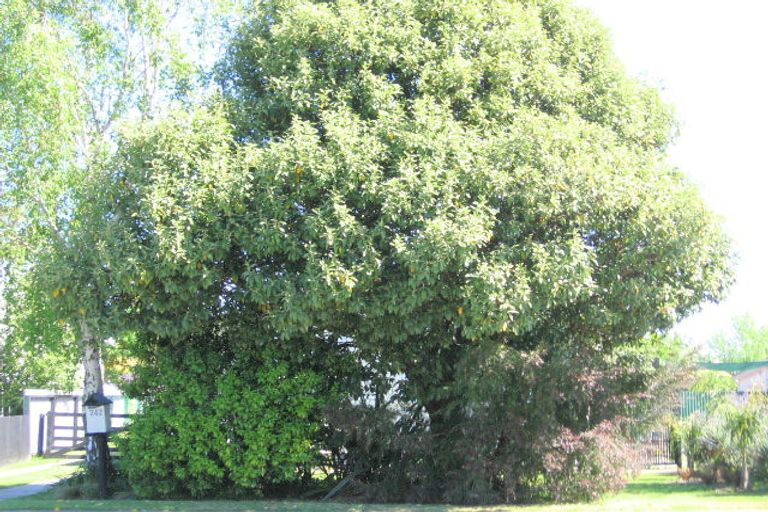 Photo of property in 242 Ormond Road, Mangapapa, Gisborne, 4010