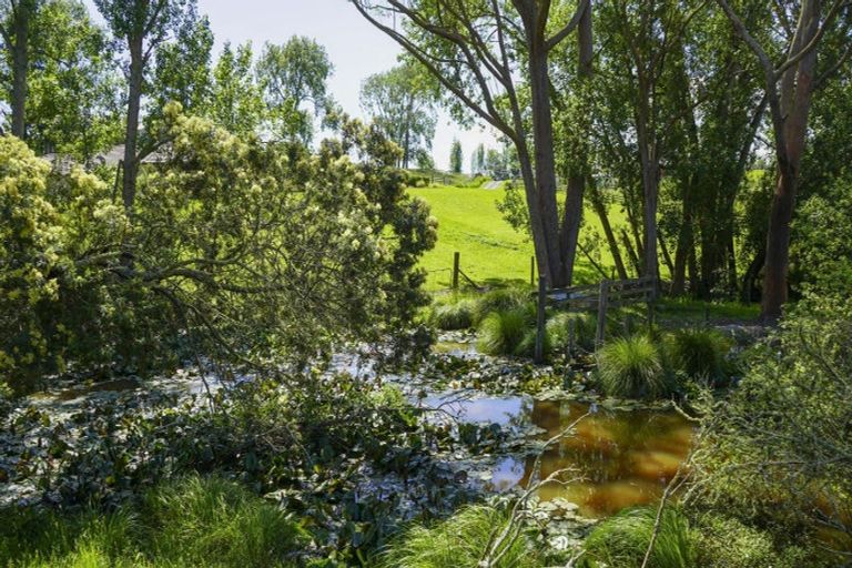 Photo of property in 46 Moorfield Road, Te Kauwhata, 3782