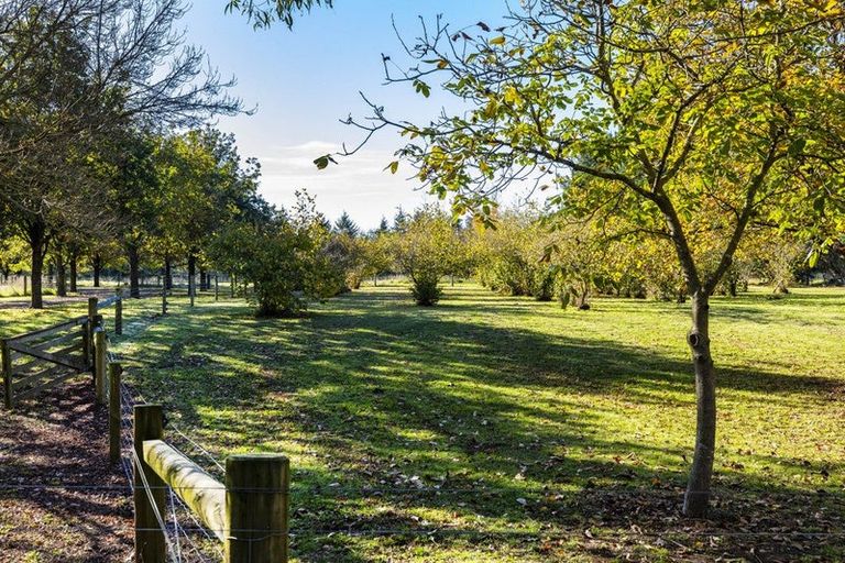 Photo of property in 1499 Tram Road, Swannanoa, Rangiora, 7475