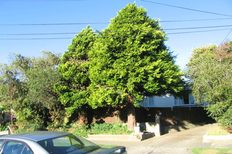 Photo of property in 4a Tui Grove, Elderslea, Upper Hutt, 5018