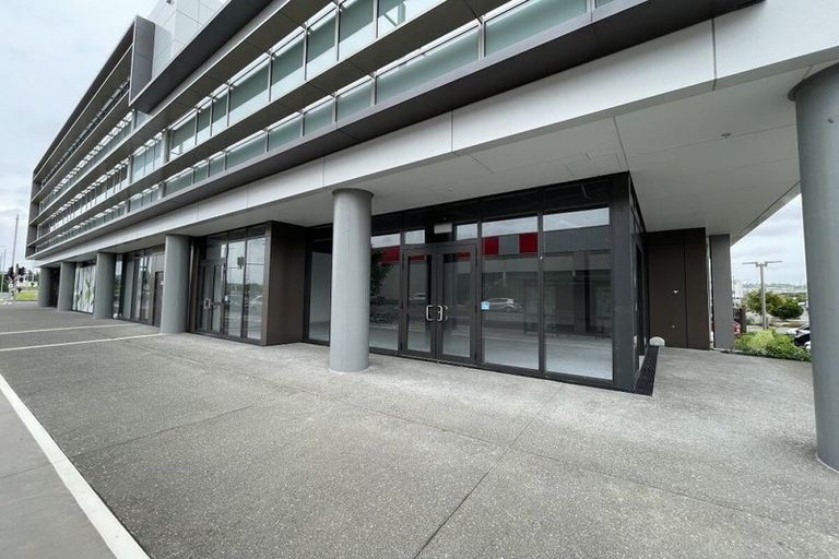 Photo of property in 1 Gallipoli Place, Flat Bush, Auckland, 2019