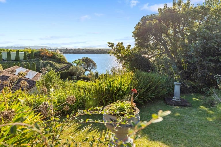 Photo of property in 238 Maungatapu Road, Maungatapu, Tauranga, 3112