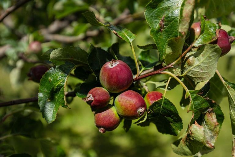 Photo of property in 58 Loach Road, Hawea Flat, Wanaka, 9382