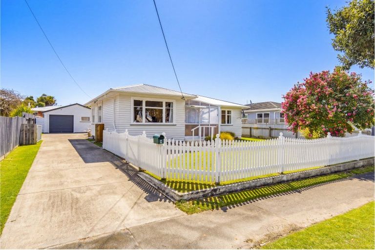 Photo of property in 9 Duke Street, Levin, 5510