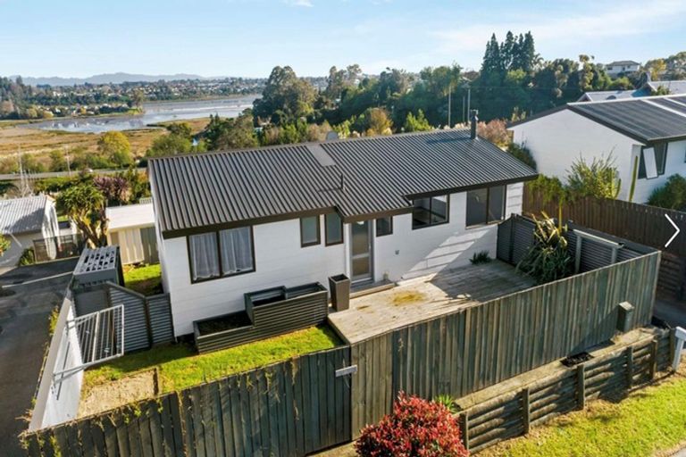 Photo of property in 55a Ohauiti Road, Hairini, Tauranga, 3112