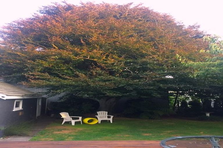 Photo of property in 3 Mckenzie Terrace, Carterton, 5713