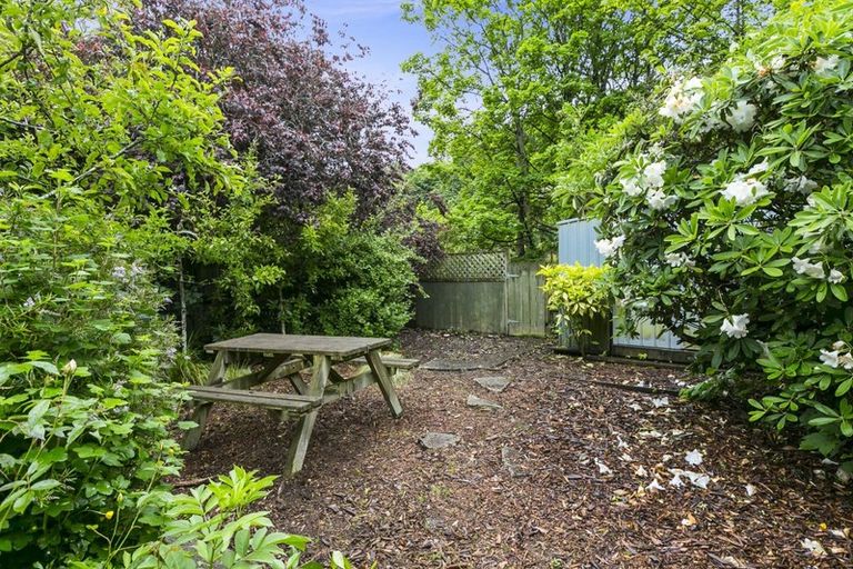 Photo of property in 141 Malvern Street, Woodhaugh, Dunedin, 9010