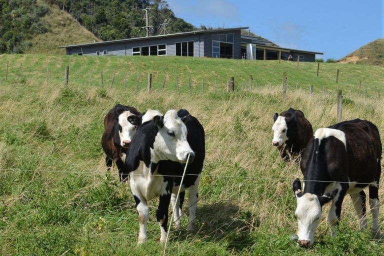 Photo of property in 177 Te Mahoe Road, Mokau, 4376