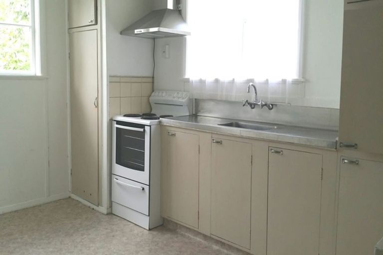 Photo of property in 69 Arawa Street, New Lynn, Auckland, 0600