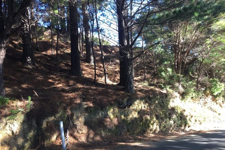 Photo of property in 6617 Kenepuru Road, Saint Omer, Marlborough Sounds, 7282