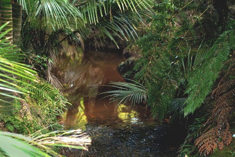 Photo of property in 309 Monowai Road, Wainui, Silverdale, 0994