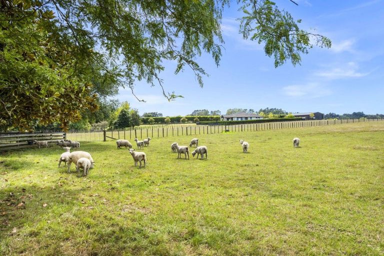 Photo of property in 134 Logan Road, Buckland, Pukekohe, 2677