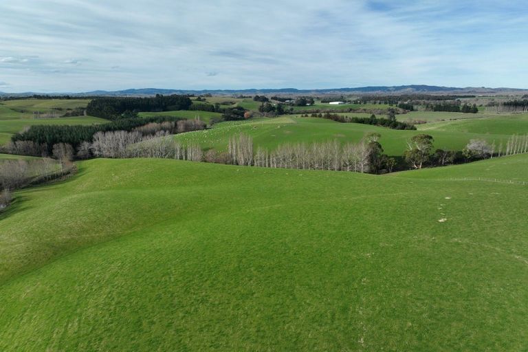 Photo of property in 41 Gray Road, Waitepeka, Balclutha, 9271