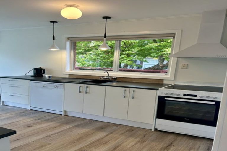 Photo of property in 55 Howell Avenue, Riverlea, Hamilton, 3216