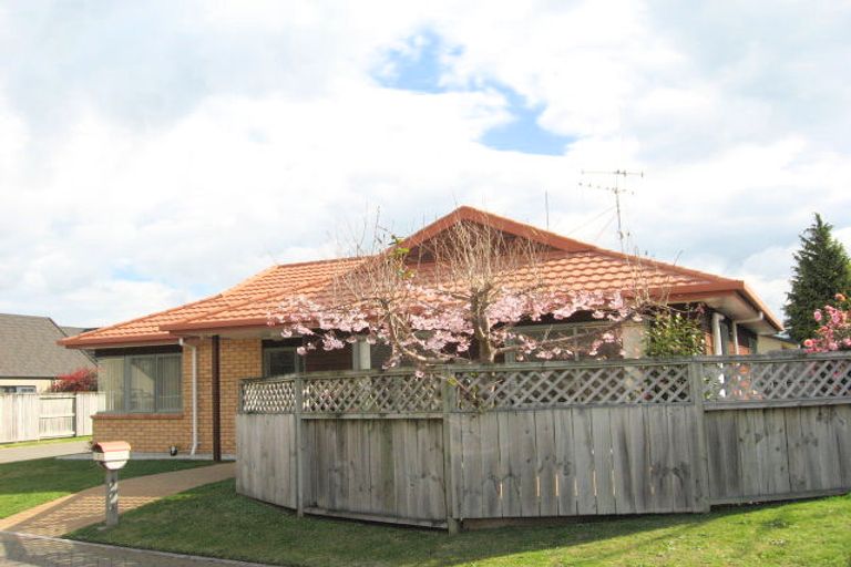 Photo of property in 1 Moffat Way, Bethlehem, Tauranga, 3110