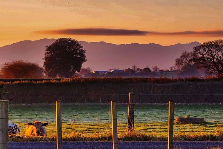 Photo of property in 77 Sutton Road, Te Awamutu, 3879