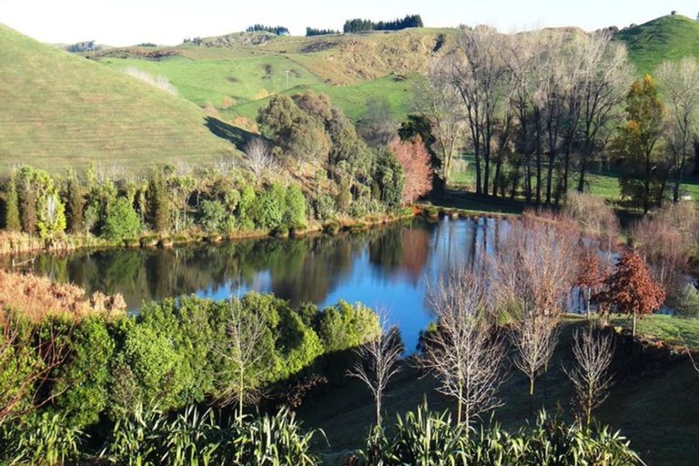 Photo of property in 135 Ballantyne Road, Poraiti, Napier, 4182