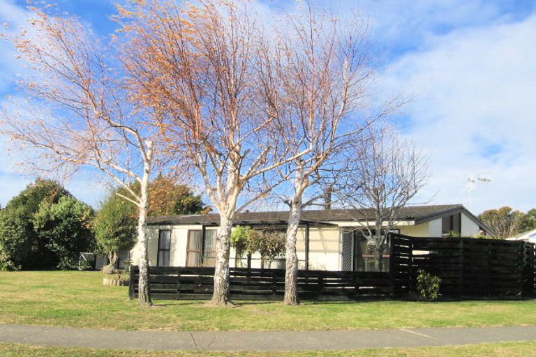 Photo of property in 309 Westminster Avenue, Tamatea, Napier, 4112