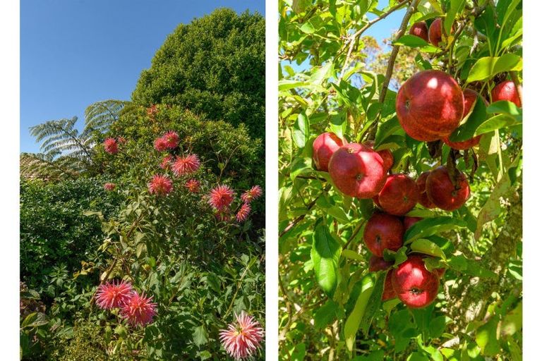 Photo of property in 3 Phillips Drive, Oropi, Tauranga, 3173