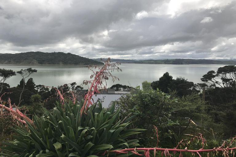 Photo of property in 92 Greenslade Road, Raglan, 3295