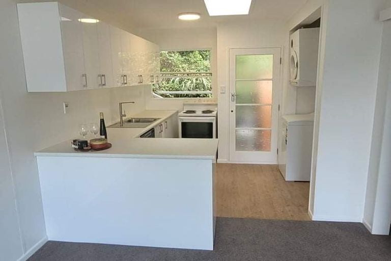 Photo of property in 2/22 Mccoll Street, Vogeltown, Wellington, 6021