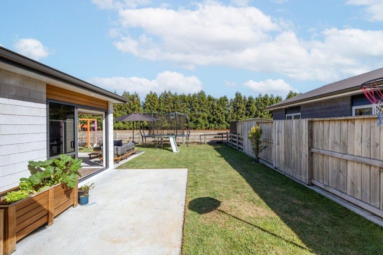Photo of property in 3c Haig Road, Matamata, 3400