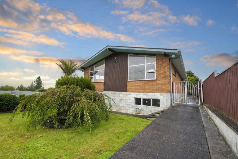 Photo of property in 239 Cambridge Street, Levin, 5510