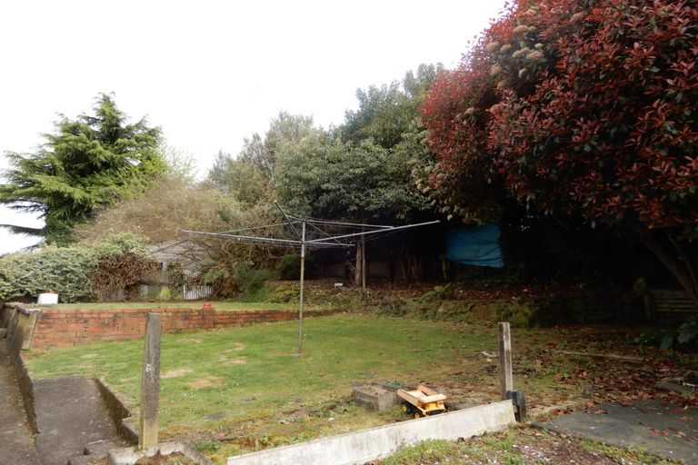 Photo of property in 113 Arapuni Street, Putaruru, 3411