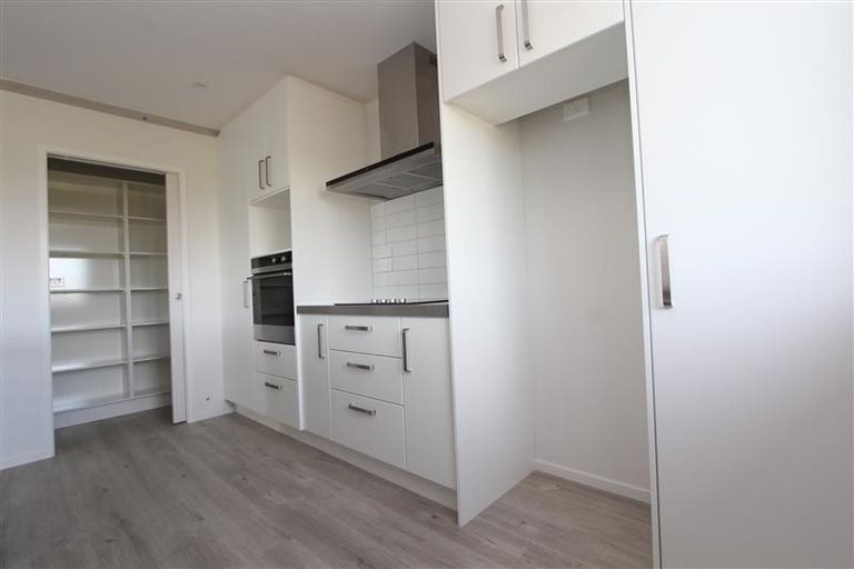 Photo of property in 45 Lulu Avenue, Chartwell, Hamilton, 3210