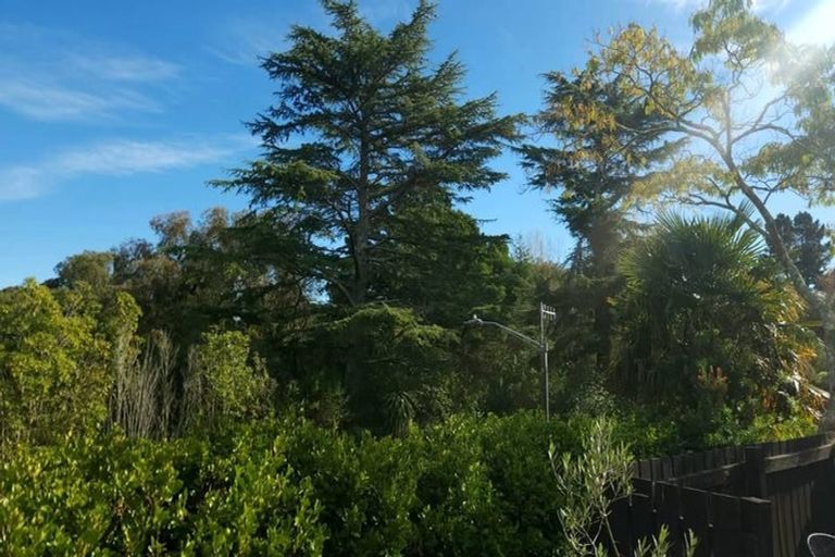 Photo of property in 101 James Cook Street, Havelock North, 4130